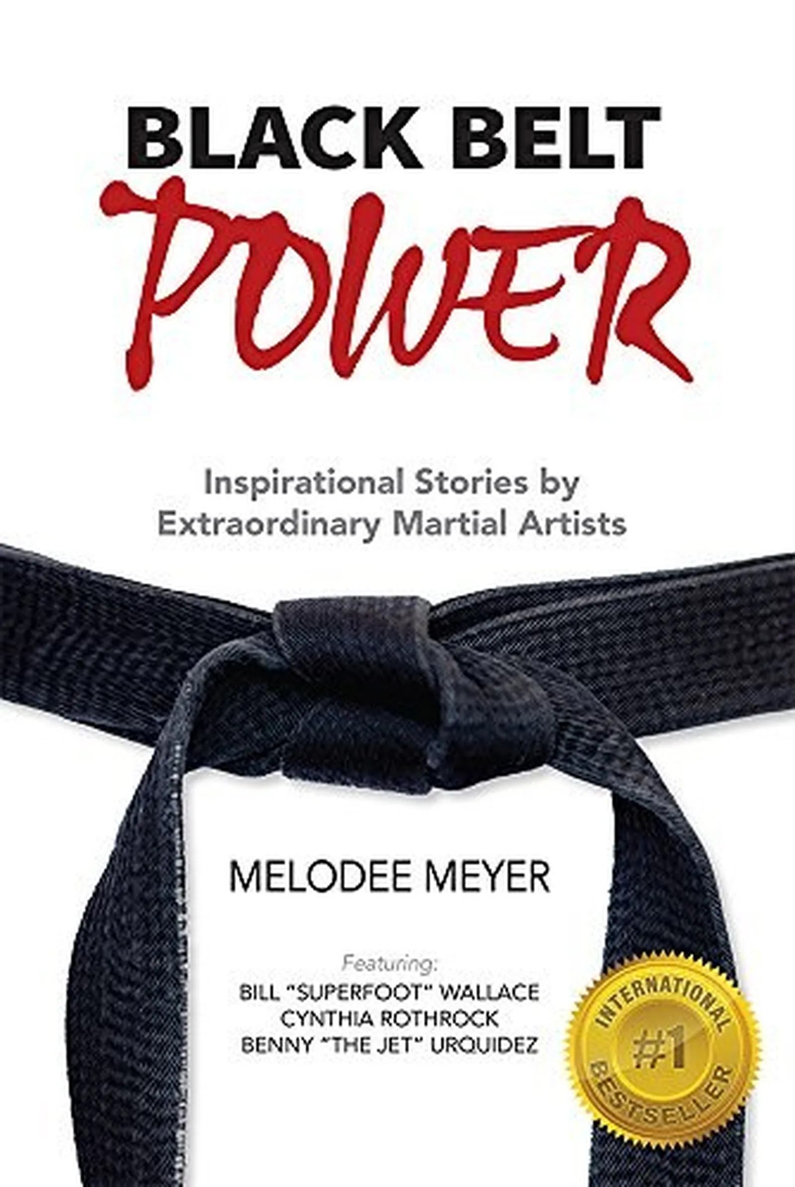 Cover of the book Black Belt Power by Melodee Meyer